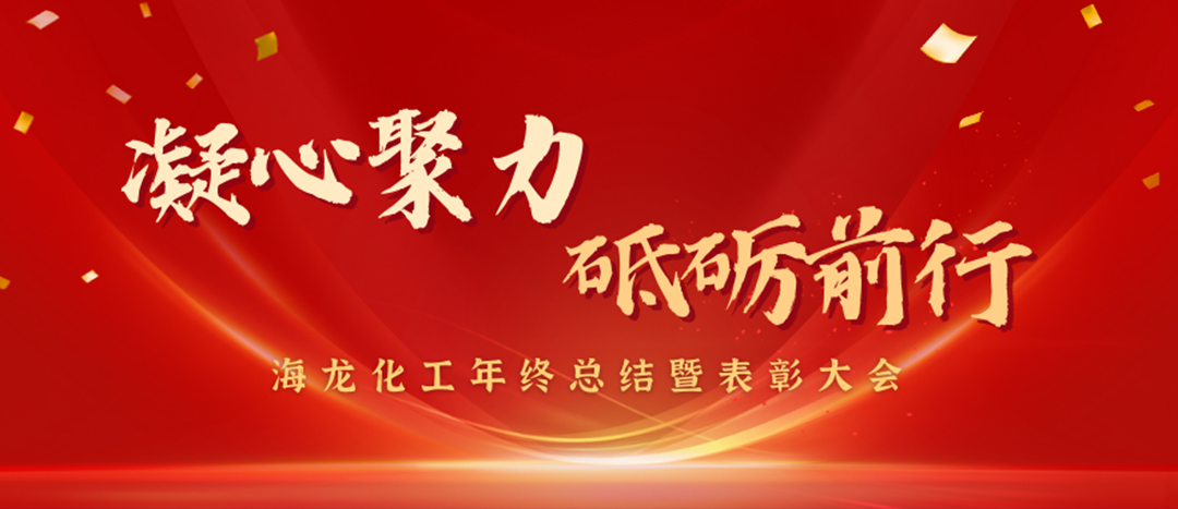 表彰 | 凝心聚力，砥礪前行，海龍化工年終總結(jié)暨表彰大會(huì)圓滿舉行