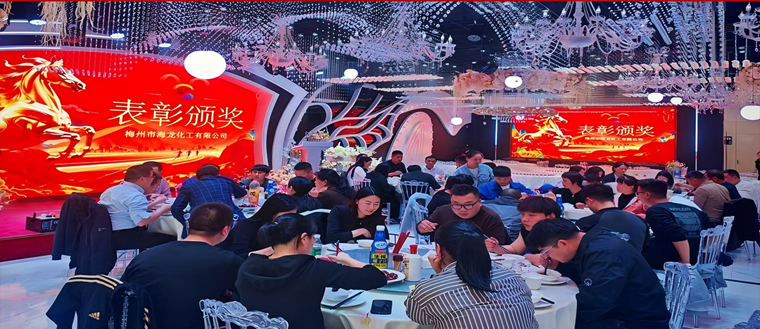 騏驥開道，奮進新篇 | 海龍化工2025年終工作總結表彰暨團年晚宴圓滿落幕